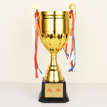 英翔盛金属奖杯自助打印体育比赛个人团体学生奖品篮球足球运动会金银铜杯银色款