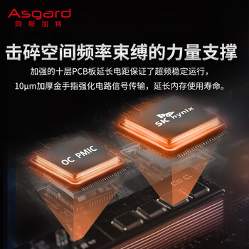 阿斯加特(Asgard)32GB(16GBx2) DDR5 6400 台式机内存条 海姆达尔 马甲条 海力士M-die CL32 黑厚甲 阿斯加特(Asgard)32GB(16GBx2) DDR5 6400 台式机内存条 海姆达尔 马甲条 海力士M-die CL32 黑厚甲