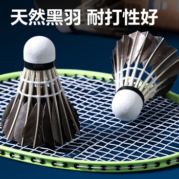 得力（deli）强韧耐打型黑鹅毛羽毛球10只装 训练结实不易折断毛牢固稳定羽球