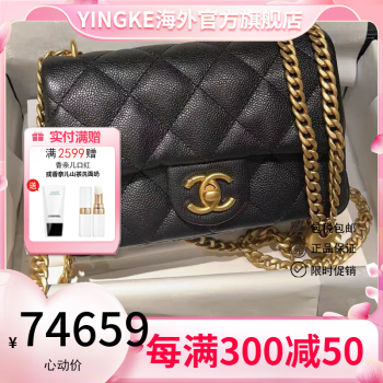 香奈儿包包大号品牌及商品- 京东