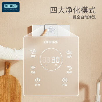 OIDIRE（偶点）果蔬清洗机 果蔬净化机洗菜机蔬菜清洗机食材净化机家用双仓有线洗菜机大容量 ODI-GSQX01