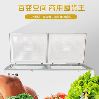 志高（CHIGO）冷柜.商用大容量全冷冻冷藏 一级能效 节能省电 卧式冰柜 428L【企采购】