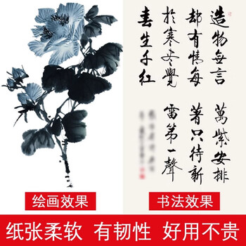 玖柒文房生宣纸书法练习专用宣纸泾县初学者毛笔书法练字作品纸国画纸工笔画练习纸四尺八开【200张】