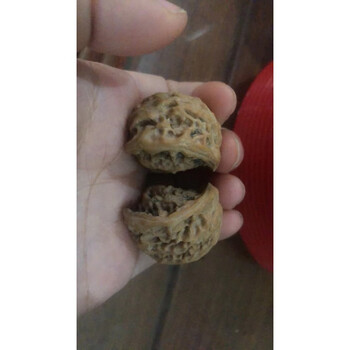 文玩核桃鹰嘴品牌及商品- 京东
