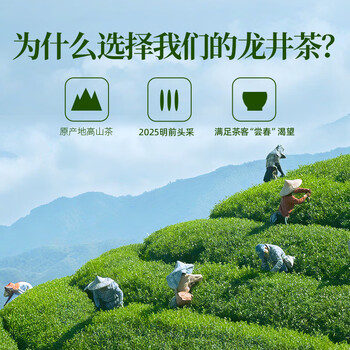 天福茗茶龙井 早春绿茶浙江龙井100g罐装茶叶 2025春茶绿茶 天福茗茶龙井 早春绿茶浙江龙井100g罐装茶叶 2025春茶绿茶