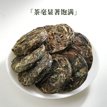 七春薄荷白茶 老白茶小饼500g福鼎贡眉口粮可冷泡自喝便携节日送礼
