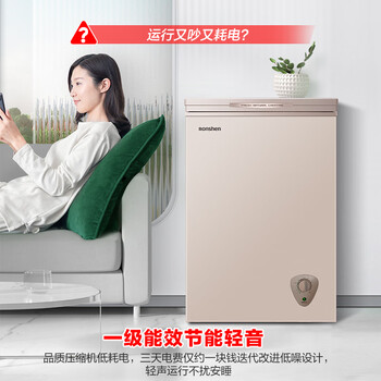 容声（Ronshen）100L单温家用冰柜-36℃速冻减霜80%一级能效节能净味冷柜BD/BC-100ZMSM