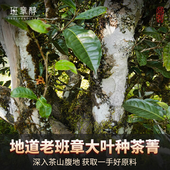 班章醇茶叶普洱茶熟茶 十八年陈老班章云南古树茶砖熟普洱口粮茶自己喝