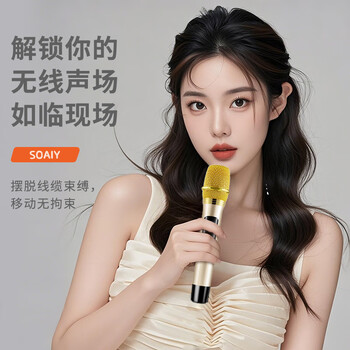 索爱（soaiy）X60大功率13喇叭重低音广场舞户外k歌蓝牙拉电木吉他乐器音箱拉杆音箱扩音器双麦克风8寸