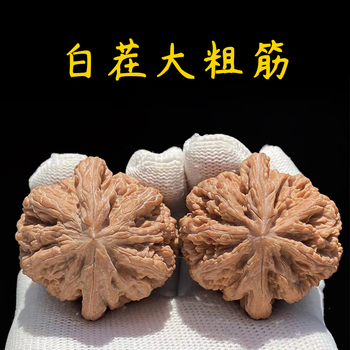 大粗筋狮子头 42尺 大粗筋狮子头价格报价行情- 京东