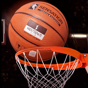 何大屋 入门基础款训练比赛健身儿童成人篮球 7号篮球HDW1722