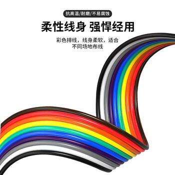 巴也 CAN总线DB9集线器排线db9彩虹多头排线 2对公母间隔5CM BY-M2DB5F