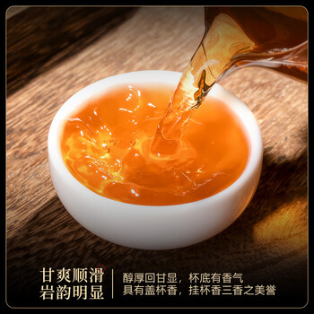 福东顺 茶叶 大红袍武夷岩茶乌龙茶罐装500g福建原产浓香耐泡自己喝送礼