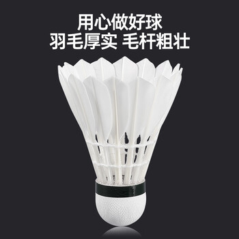 亚狮龙RSL羽毛球鹅毛球12只装/桶耐打飞行稳定比赛训练 SK.6号球 76速