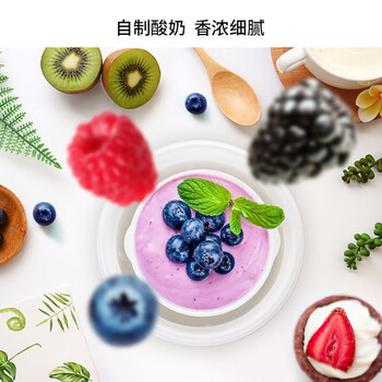 九阳（Joyoung）酸奶机 家用小型1L酸奶机食品级PP酸奶桶微电脑控制制酸奶机恒温发酵SN-10J91