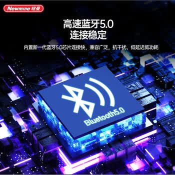 纽曼（Newsmy）蓝牙音箱无线音箱便携式户外家用电脑桌面迷你重低音炮全屏炫彩小音响微信收款音乐播放器BT33黑色