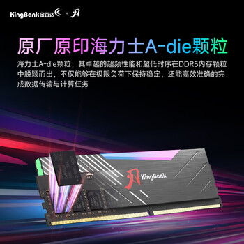 金百达（KINGBANK）32GB(16GBX2)套装 DDR5 6800 台式机内存条海力士A-die颗粒 黑刃RGB灯条 C32 Deepseek硬件
