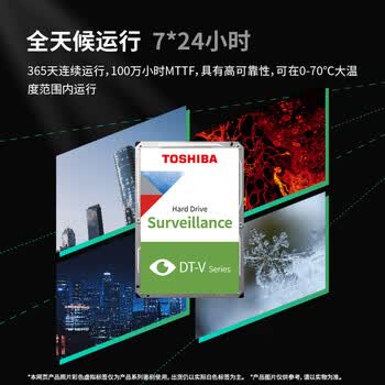 东芝（TOSHIBA）2TB 5400转 128MB SATA接口 机械硬盘 监控硬盘 数据恢复服务(DT02ABA200V)