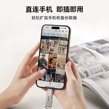 雷克沙（Lexar）U盘 USB3.2/Type-C双接口优盘手机电脑两用高速读写加密保护闪存盘 D40T 256G