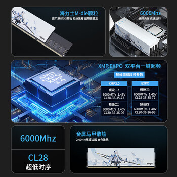 挚科32GB(16GB×2)套装 DDR5 6000 C28 台式机内存条 白鸽马甲条 海力士M-die原厂原印颗粒