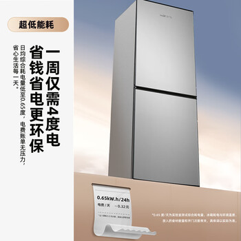 新飞(Frestec)183升两门二门节能环保低噪小型电冰箱速冻冷冻冷藏双开门冰箱家用租房BCD-183KT 新飞(Frestec)183升两门二门节能环保低噪小型电冰箱速冻冷冻冷藏双开门冰箱家用租房BCD-183KT