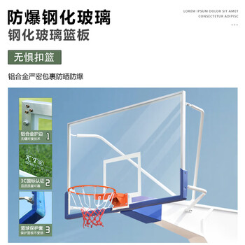 LIVEX篮球架标准成人户外篮球框可移动仿液压蓝球架家用室外篮球架子