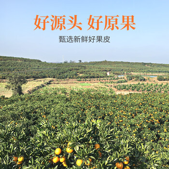 方家铺子九制陈皮丝100克 即食零食陈皮泡茶泡水 花草茶干橙皮养生茶