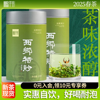 鹏翔2025新茶现货炒青特级汉中绿茶西乡特炒茶叶罐装茶趣125g*2共250g