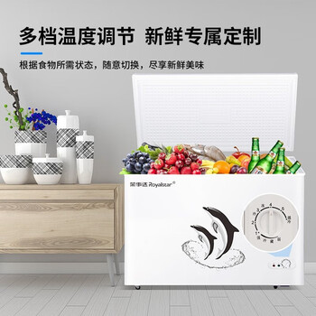 荣事达（Royalstar）冷柜.大容量全冷冻卧式冰柜家用冷藏冷冻两用冰柜冷冻柜 388升单温【企采购】