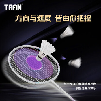 Taan泰昂羽毛球线弹力炫音羽毛球拍线绳王者法师拼色白/浅蓝一条装