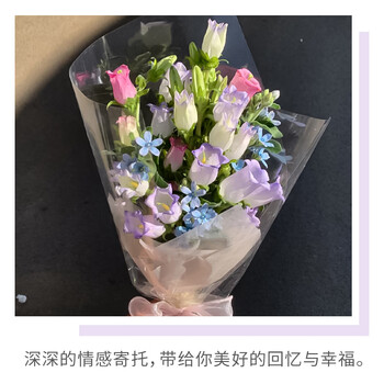 NVV玻璃纸透明塑料花束打底鲜花包装纸防水包情人节圣诞节送礼DIY包花纸花艺材料塑料纸48张 LPZ-BL