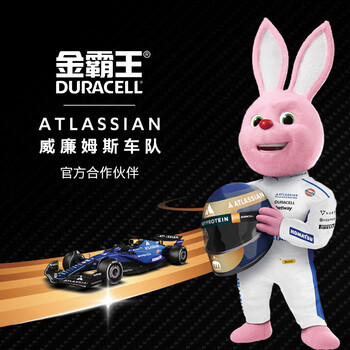 金霸王(Duracell)5号碱性电池12粒装  适用博朗耳温枪/血糖仪/鼠标/键盘/血压计/电子秤/遥控器/儿童玩具