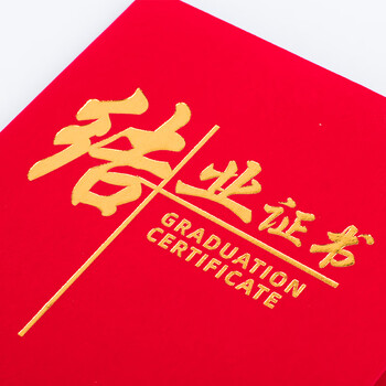 Touch Fish 结业证书奖状封皮证书外壳空白内芯烫金红色绒面进修培训 大12K结业证书（10本装）附20张内芯