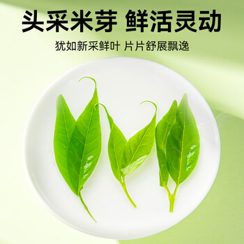 贡苑正宗贵州余庆小叶苦丁茶250g明前头采特级嫩芽端午节日礼盒送长辈