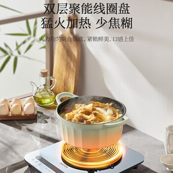 苏泊尔（SUPOR）电磁炉 家用2200W大功率电磁灶 智能双环控温一体微晶面板 不挑锅具 C22-IA08