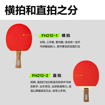 安格耐特乒乓球拍四星级横直对拍 训练比赛专用（直拍+横拍）