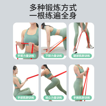 PROIRON普力艾 弹力带引体向上助力带成人力量训练中考单杠辅助 30-50kg PROIRON普力艾 弹力带引体向上助力带成人力量训练中考单杠辅助 30-50kg