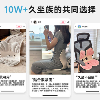 思莱宜腰靠垫护腰靠垫办公室腰托护腰久坐神器人体工学腰垫靠背垫坐姿椅