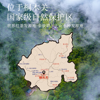 骏德红茶 小赤甘武夷山桐木关其他红茶100g罐装 茶叶伴手礼口粮茶