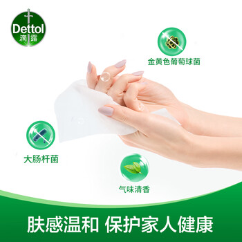 滴露（Dettol）湿巾湿纸巾10片*8包便携非酒精湿巾消毒湿巾羽绒服清洁湿巾厨房用