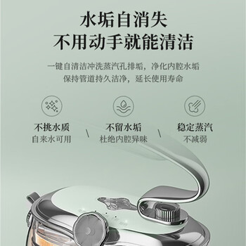 苏泊尔（SUPOR）挂烫机 家用熨烫机蒸汽电熨斗小型便携熨衣机大蒸汽大面板烫衣服 GH-300C 绿色