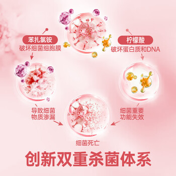 滴露衣物消毒液 洗衣持久香氛 植源杀菌消毒水1L 白桃与葡萄柚