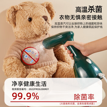 奥克斯（AUX）手持挂烫机家用熨烫机蒸汽烫斗便携小型电熨斗宿舍烫衣服神器