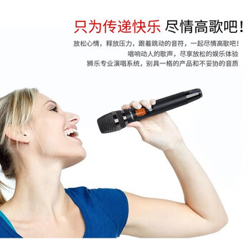 狮乐一拖二无线麦克风话筒真U段SH-17