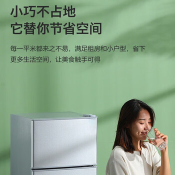 日普（RIPU）冰箱.迷你小型双门家用 节能省电冷藏冷冻【一级能效】86升银色【3天约用1度电】【企采购】