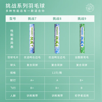 薰风（KUMPOO）挑战9羽毛球 鹅毛球耐打飞行稳定熏风专业训练比赛用球12只装