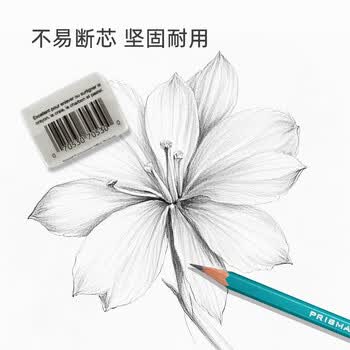 霹雳马（PRISMACOLOR）绿松石石墨铅笔2B学生素描艺术写生手绘美国三福霹雳马美术写生