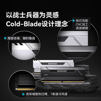 佰维（BIWIN）32G(16G×2)套装 DDR5 6000频率台式机内存条 斗战行者HX100 马甲条(C28)黑色AI PC电脑存储配件