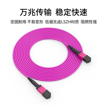 良浦 多模万兆MPO-MPO 8芯OM4光纤跳线 40G/100G模块用跳纤 5米 MPO-MT8-5M	