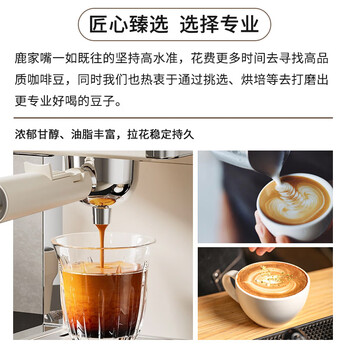 鹿家嘴云南小粒咖啡普洱咖啡豆美式/黑巧风味咖啡豆500g阿拉比卡豆
